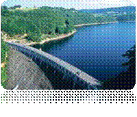 http://t1.gstatic.com/images?q=tbn:ANd9GcSK6lt67w3Svbc98lTi_HV5AMOKzw_GPD8S1mTuN2gW58BjtTVj
